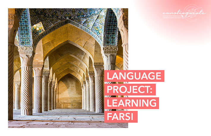 Learn Farsi: My new language project to learn Farsi with Drops and Preply